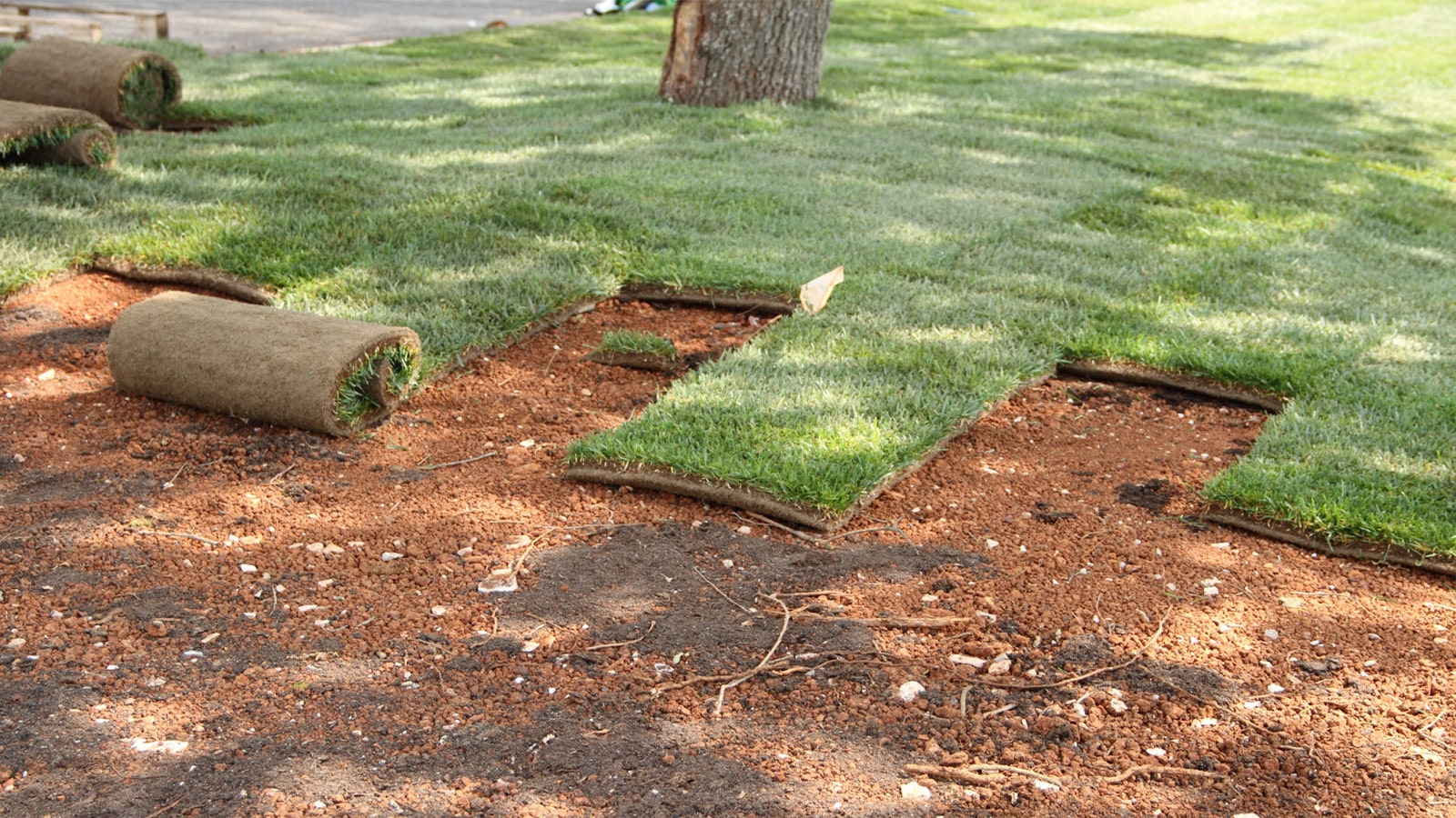 Sod Installation